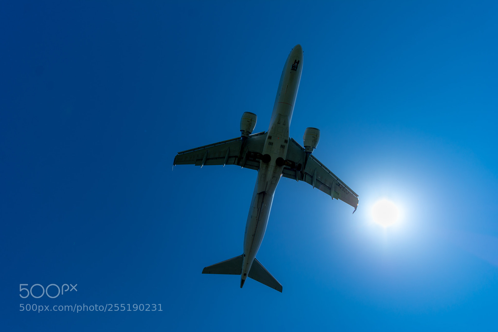 Nikon D7100 sample photo. Landing airplane under the photography