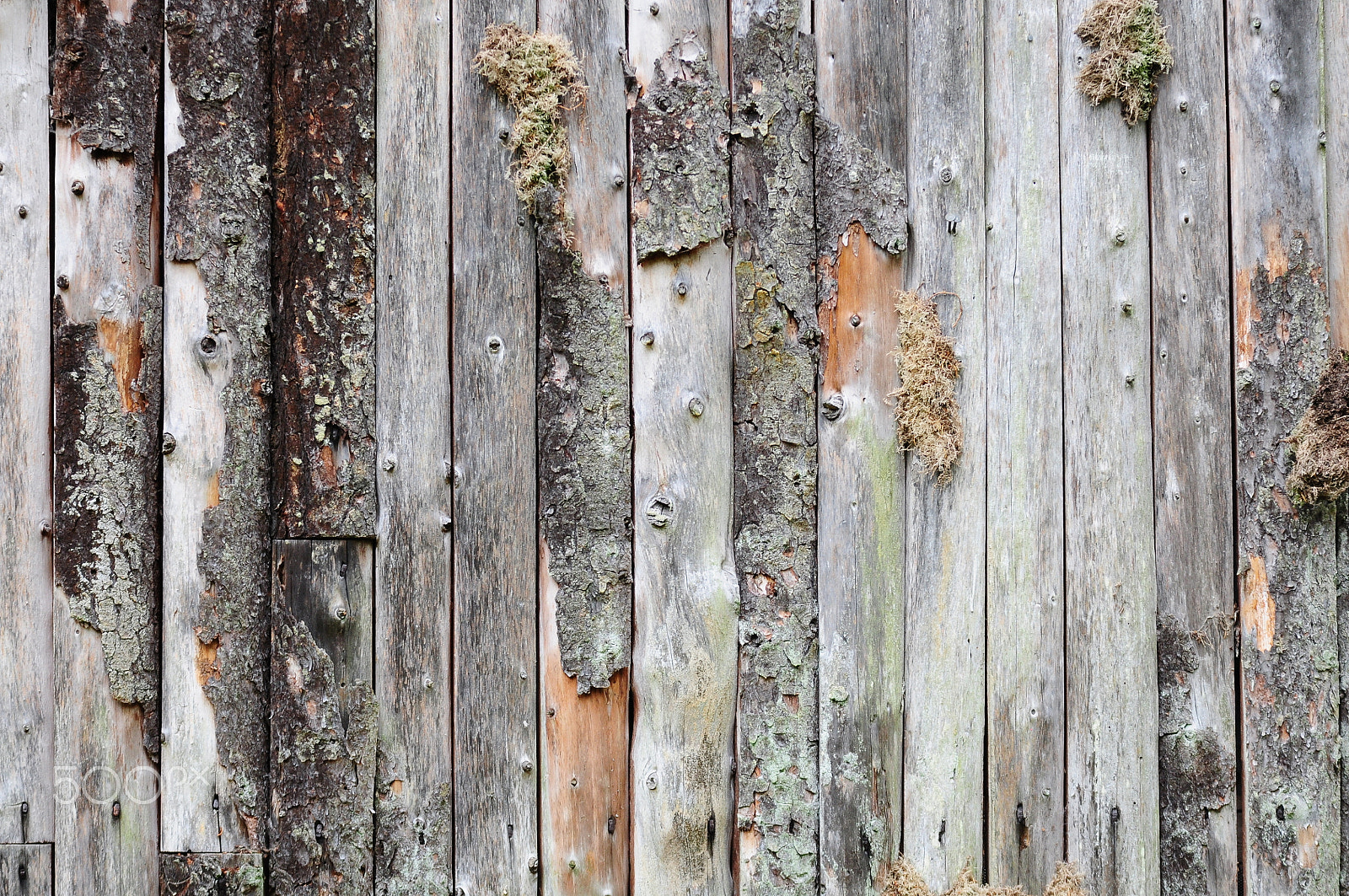 Nikon D90 + Sigma 70-200mm F2.8 EX DG OS HSM sample photo. Ashridge estate, national trust, berkhampstead photography