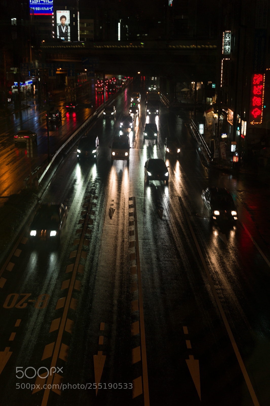 Leica M9 sample photo. Enemy attack photography