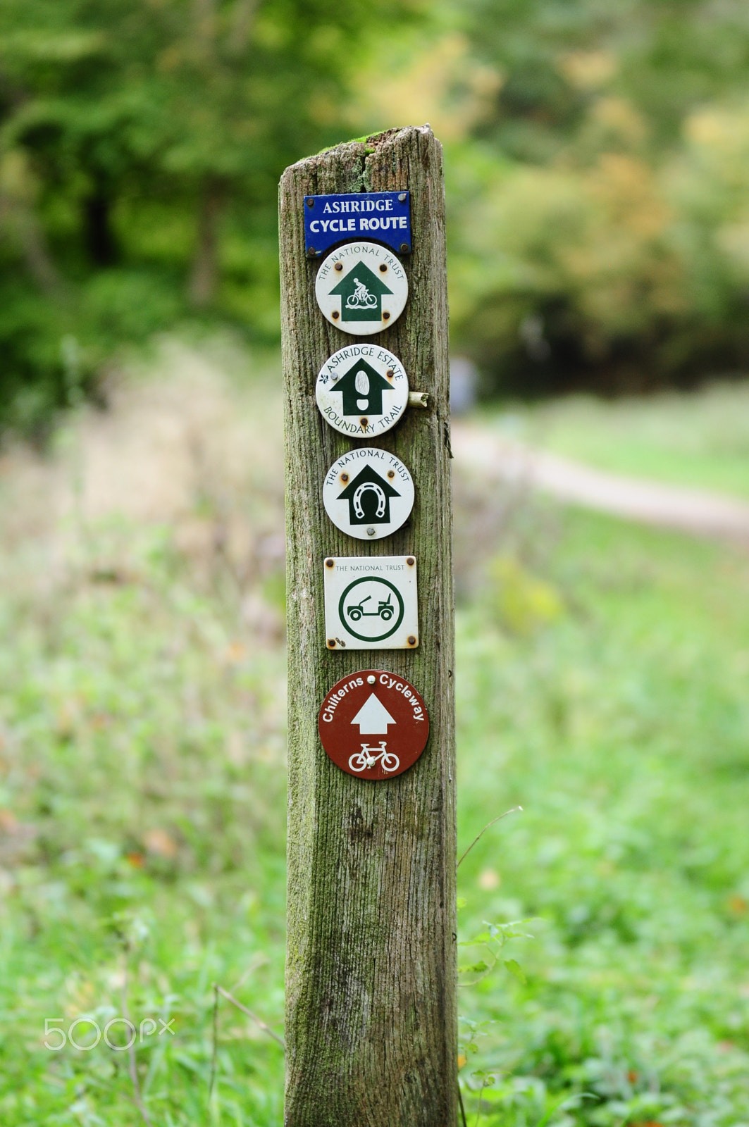 Sigma 70-200mm F2.8 EX DG OS HSM sample photo. Ashridge estate, national trust, berkhampstead photography