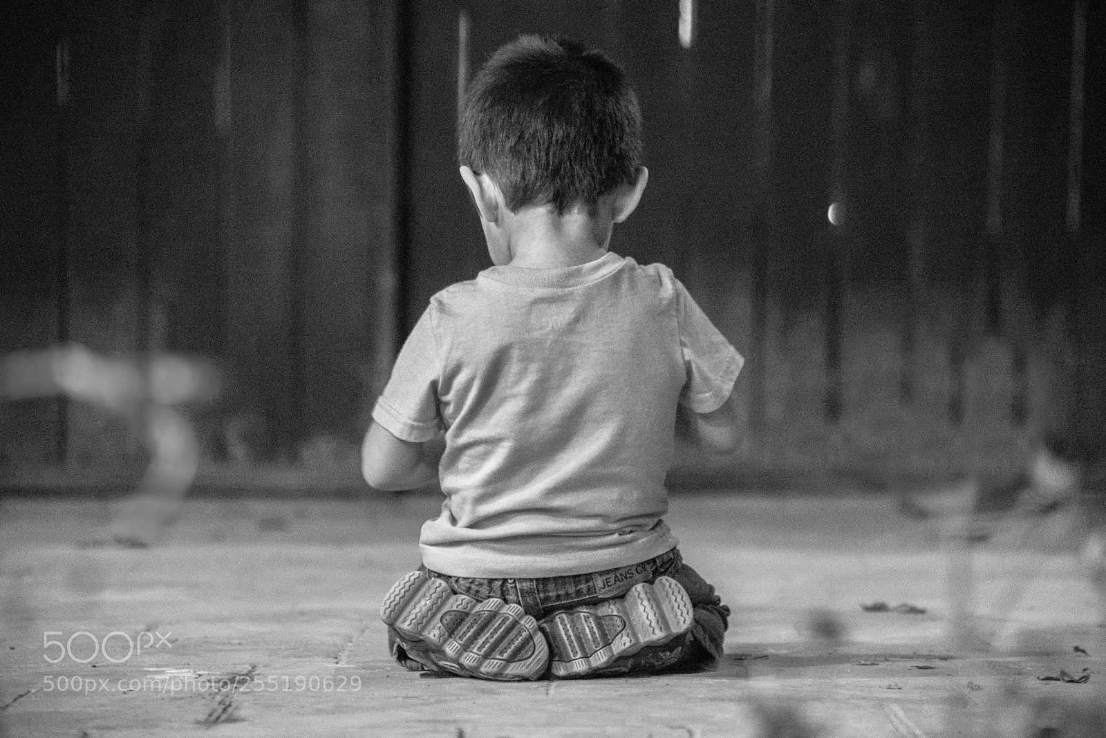 Nikon D600 sample photo. Lr copy photography