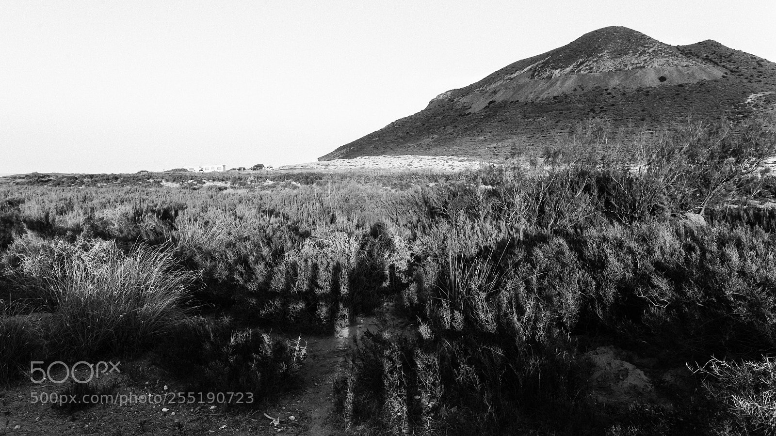 Canon EOS 5D Mark II sample photo. Playa del playazo... almer photography