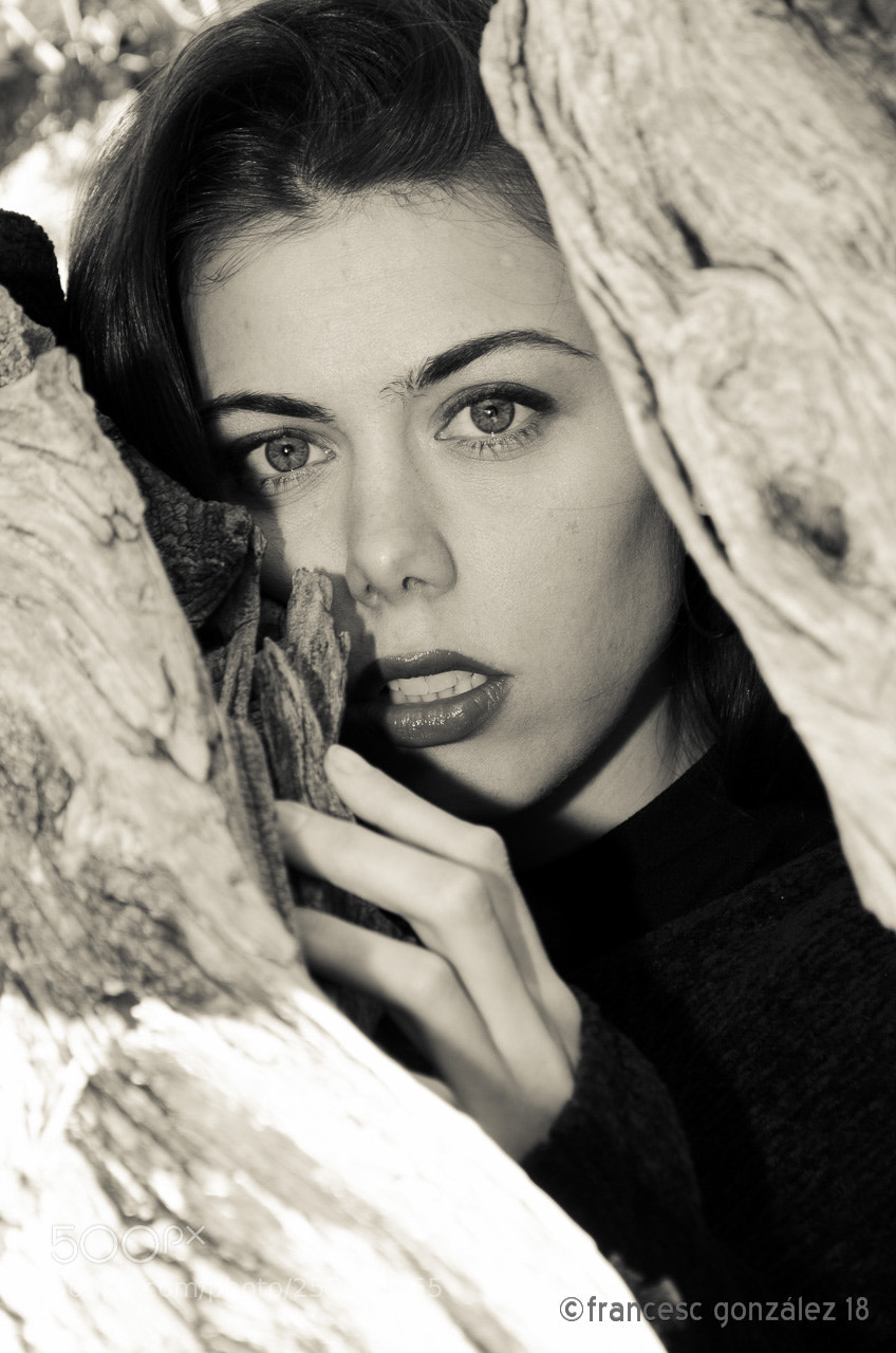 Nikon D5100 sample photo. Behind the branches photography