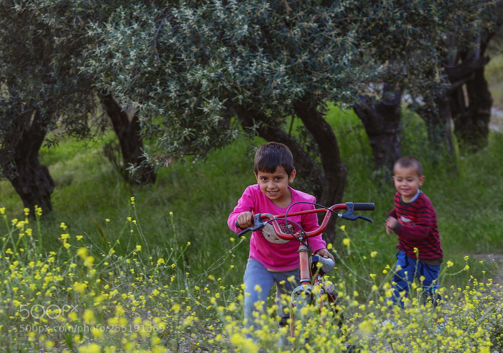 Nikon D7000 sample photo. Cheerfully photography