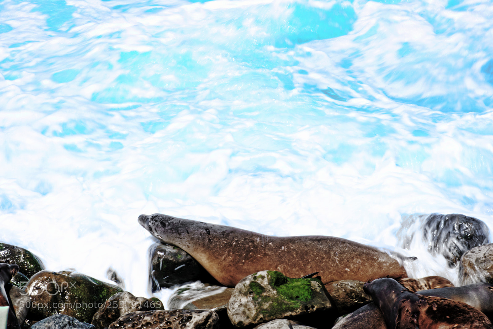 Nikon D7200 sample photo. Turquoise waves photography
