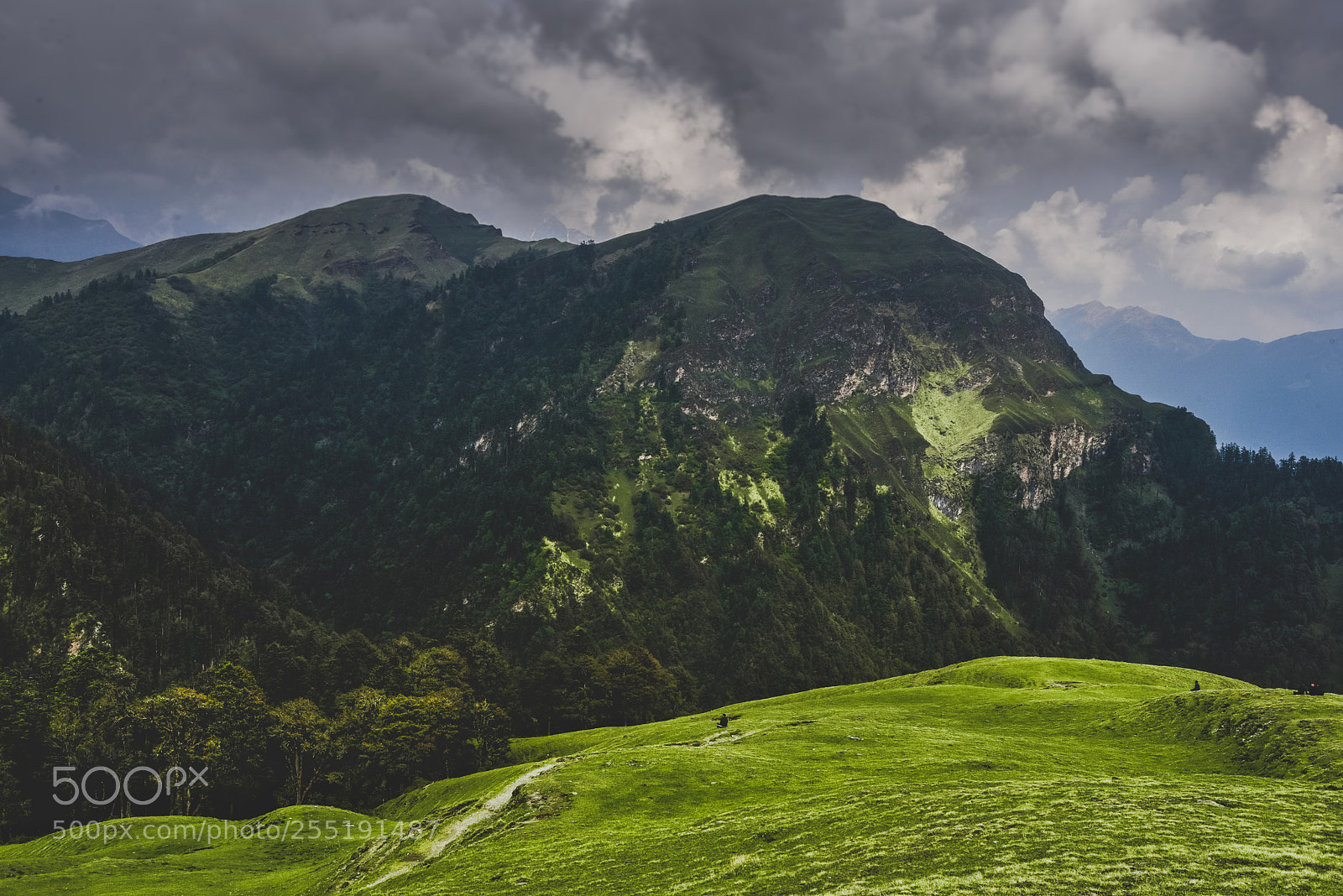 Nikon D810 sample photo. Bugyal photography