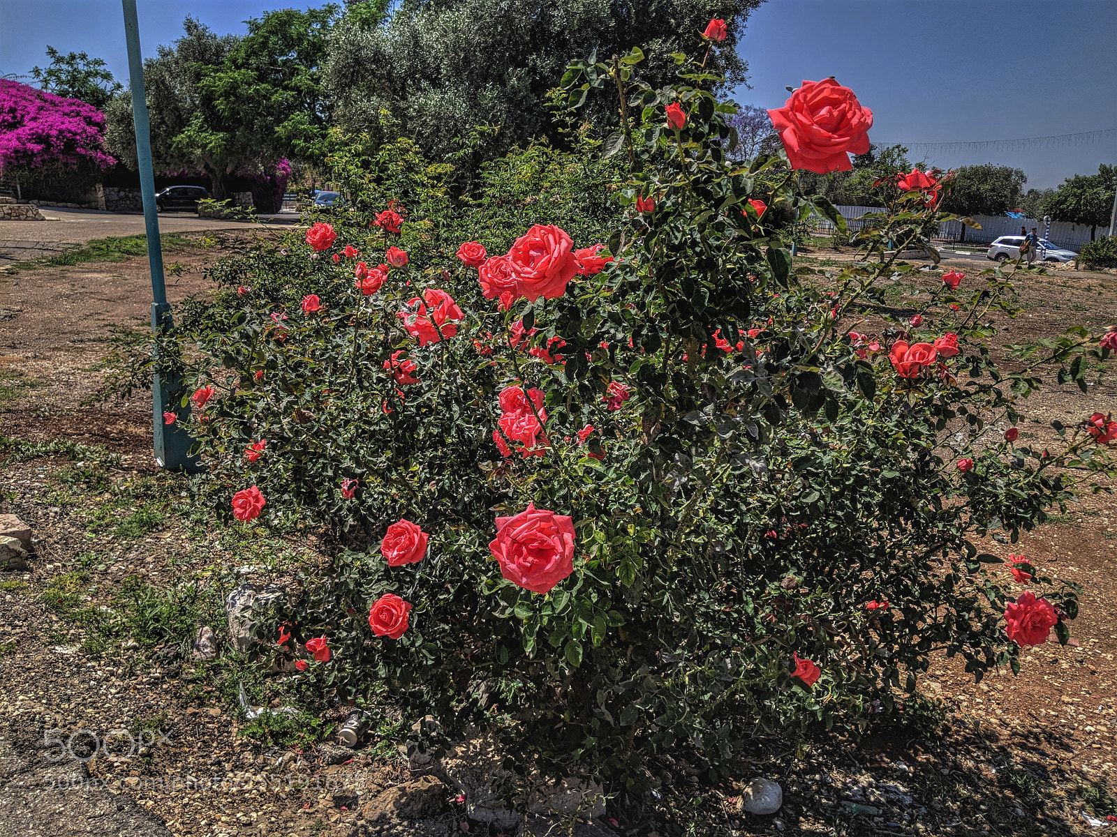 Google Pixel 2 XL sample photo. Img_20180424_132758-01.jpg photography