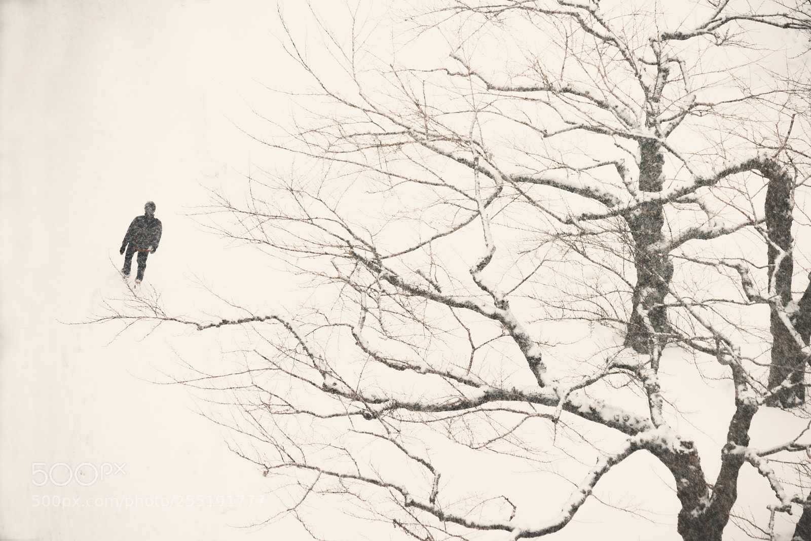 Sony a7R III sample photo. Snow photography