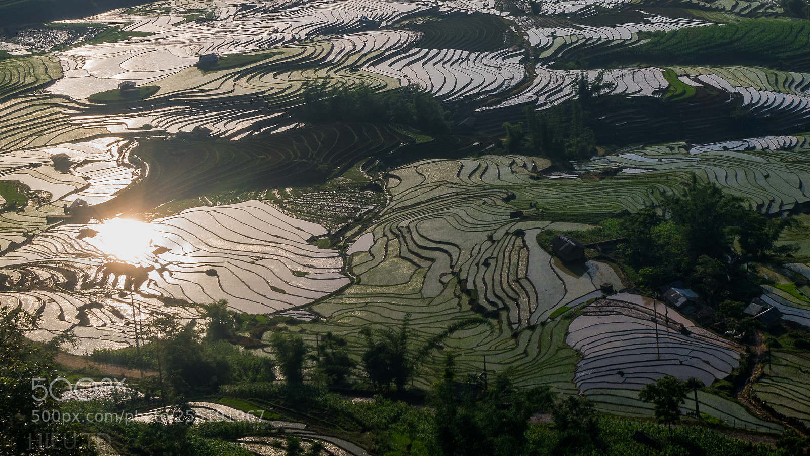Sony a7R II sample photo. Rice terrace at sunset photography