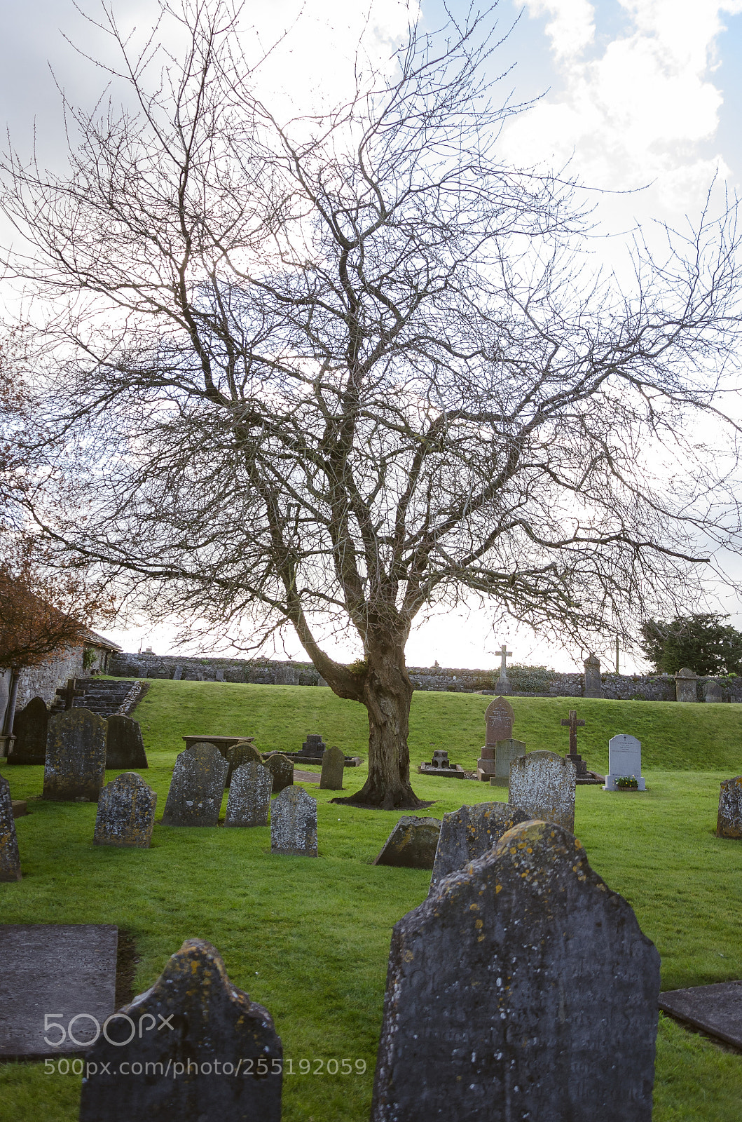 Nikon D5100 sample photo. Irlanda photography