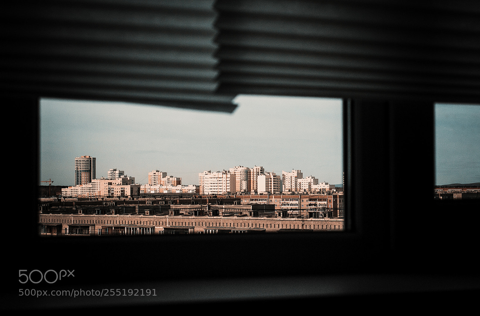 Canon EOS 650D (EOS Rebel T4i / EOS Kiss X6i) sample photo. Through the window photography