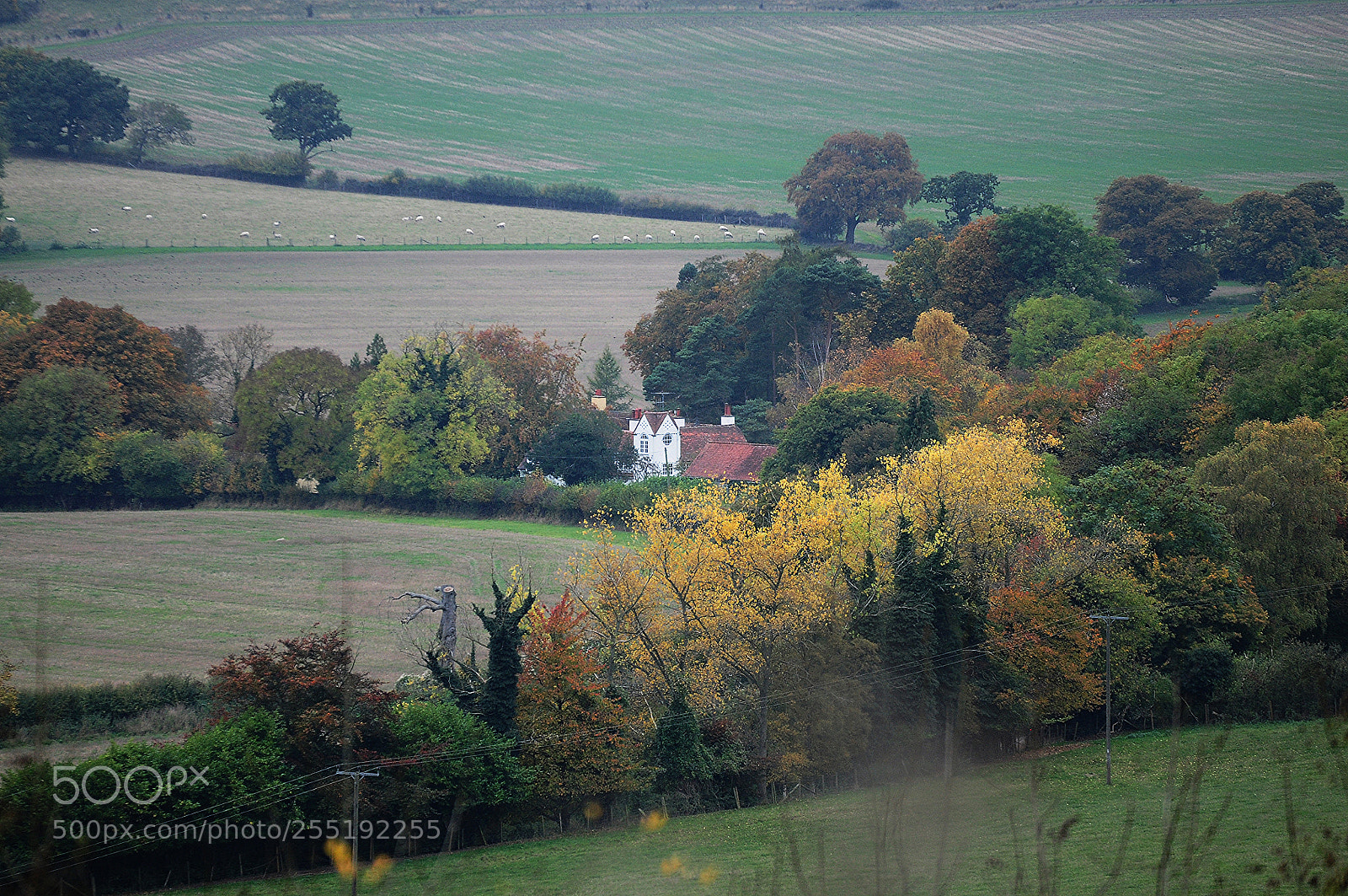 Nikon D90 sample photo. Ashridge estate, national trust photography