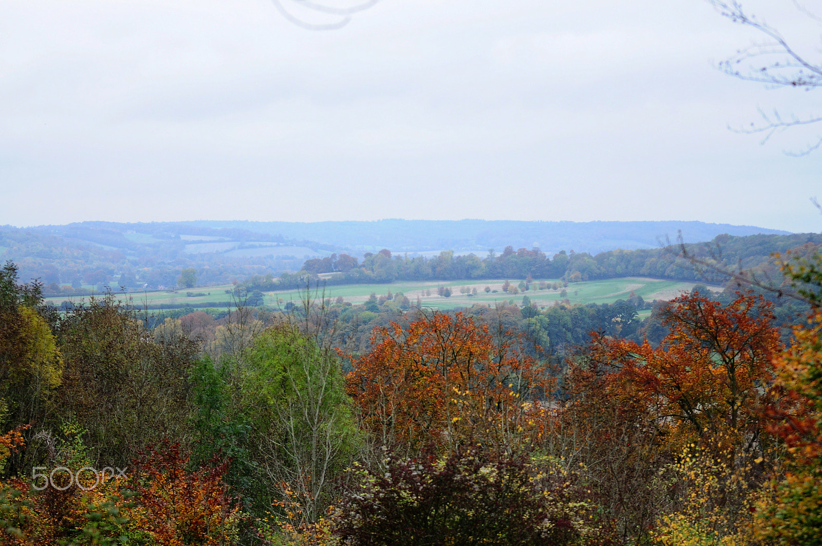 Sigma 70-200mm F2.8 EX DG OS HSM sample photo. Ashridge estate, national trust, berkhampstead photography