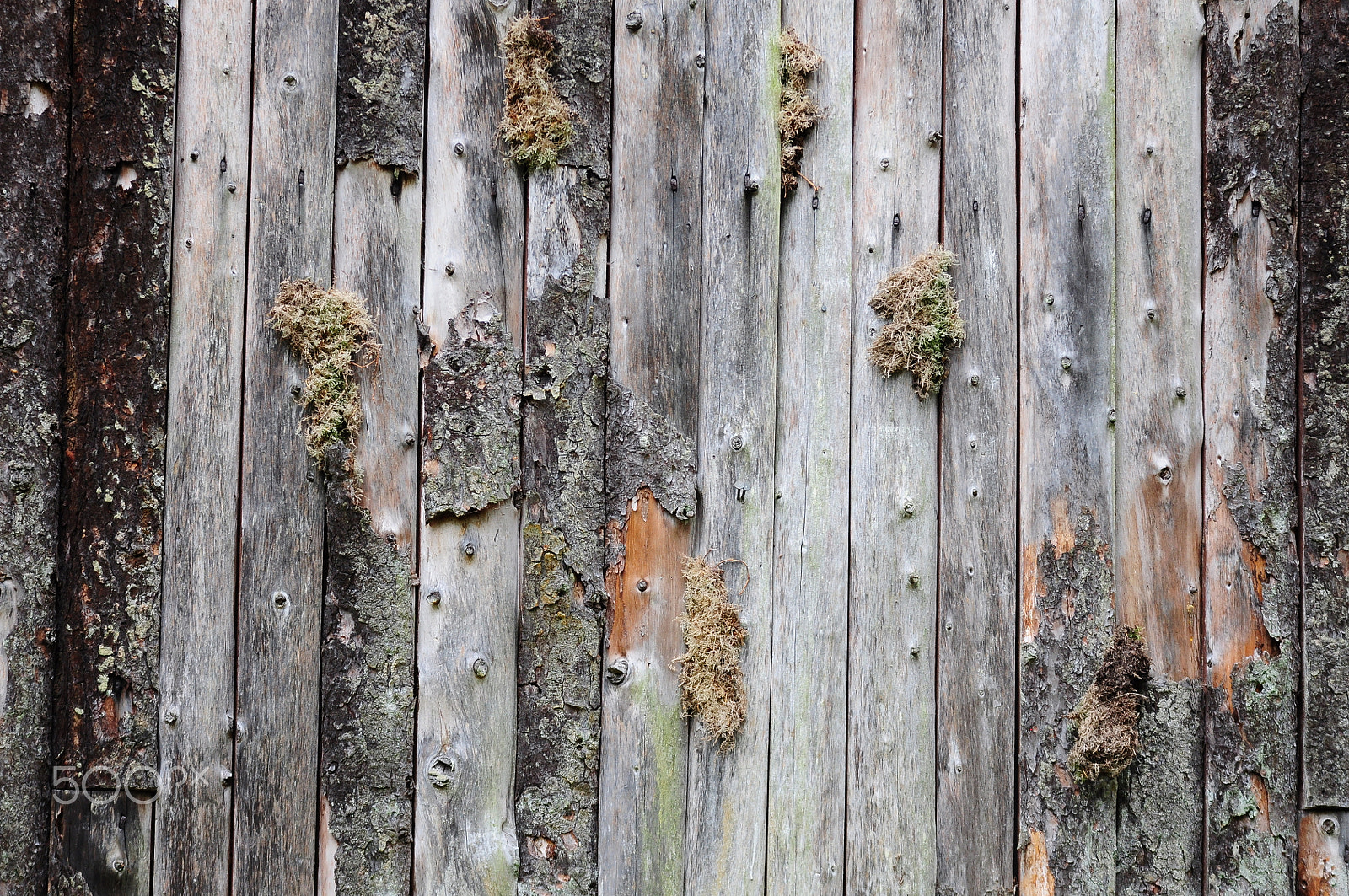 Nikon D90 + Sigma 70-200mm F2.8 EX DG OS HSM sample photo. Ashridge estate, national trust, berkhampstead photography