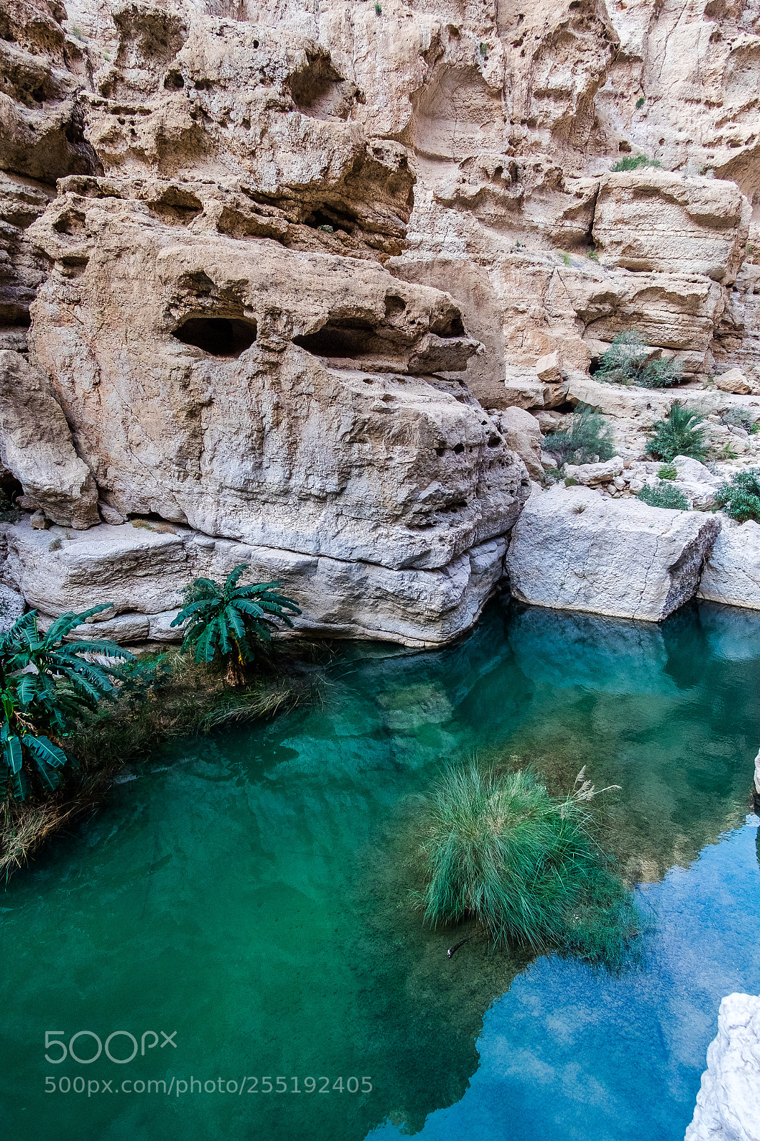 Fujifilm X-T1 sample photo. Wadi tiwi photography