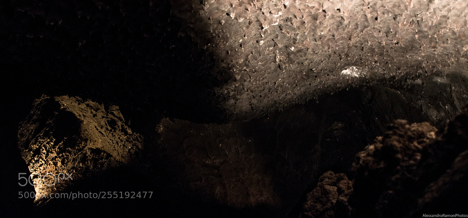 Nikon D5500 sample photo. Rough photography