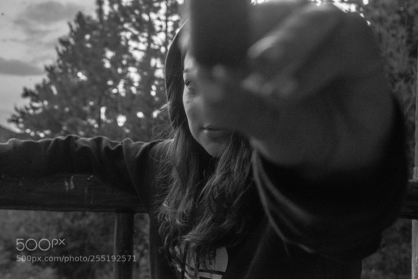 Nikon D600 sample photo. Lr photography