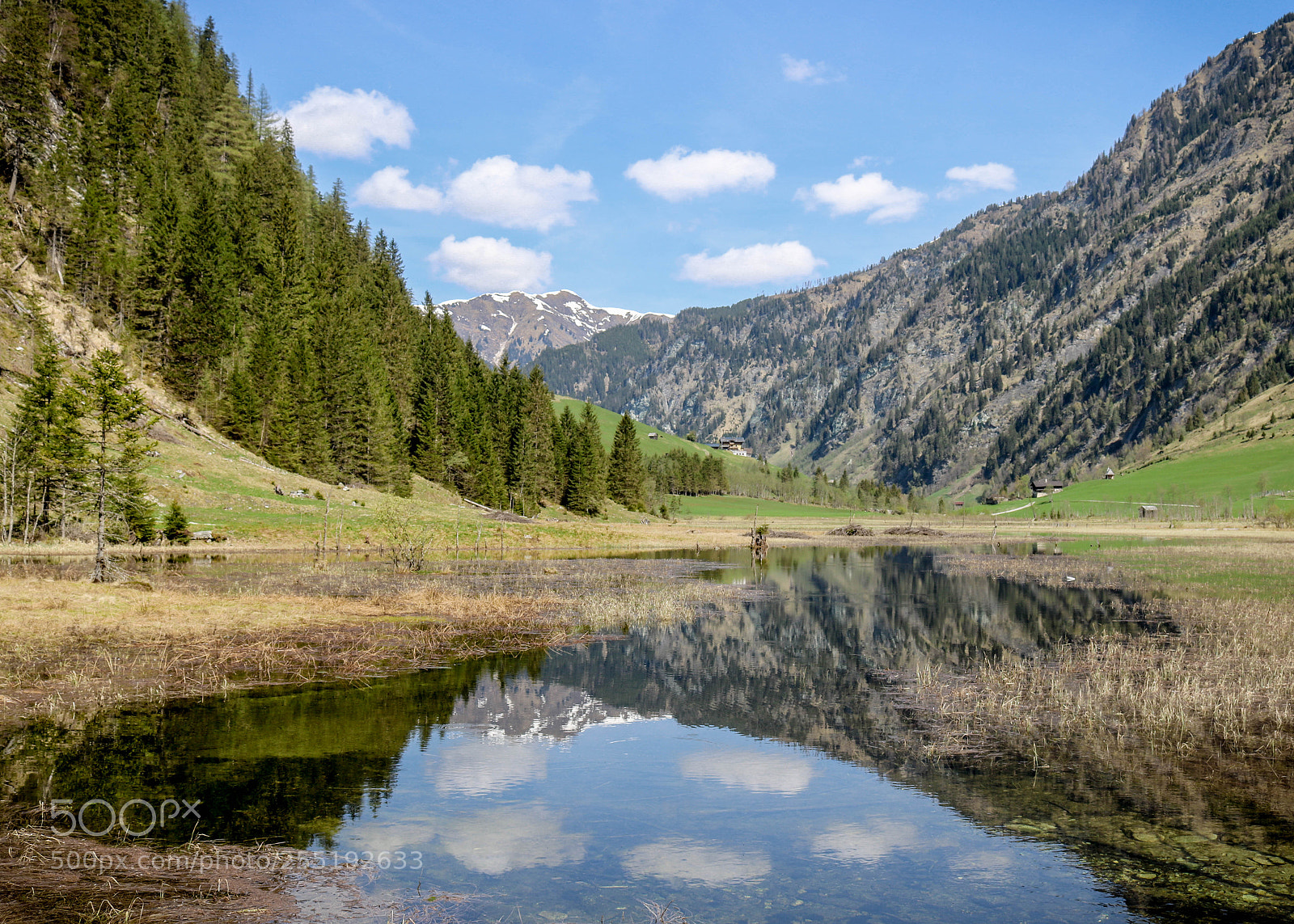 Canon EOS 750D (EOS Rebel T6i / EOS Kiss X8i) sample photo. Am tzlsee im gro photography