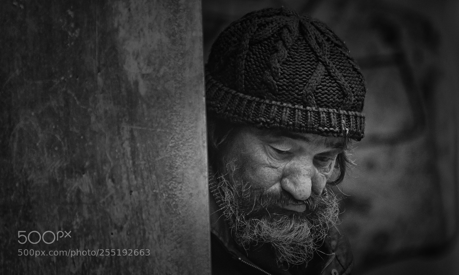 Canon EOS 80D sample photo. Peek a boo photography