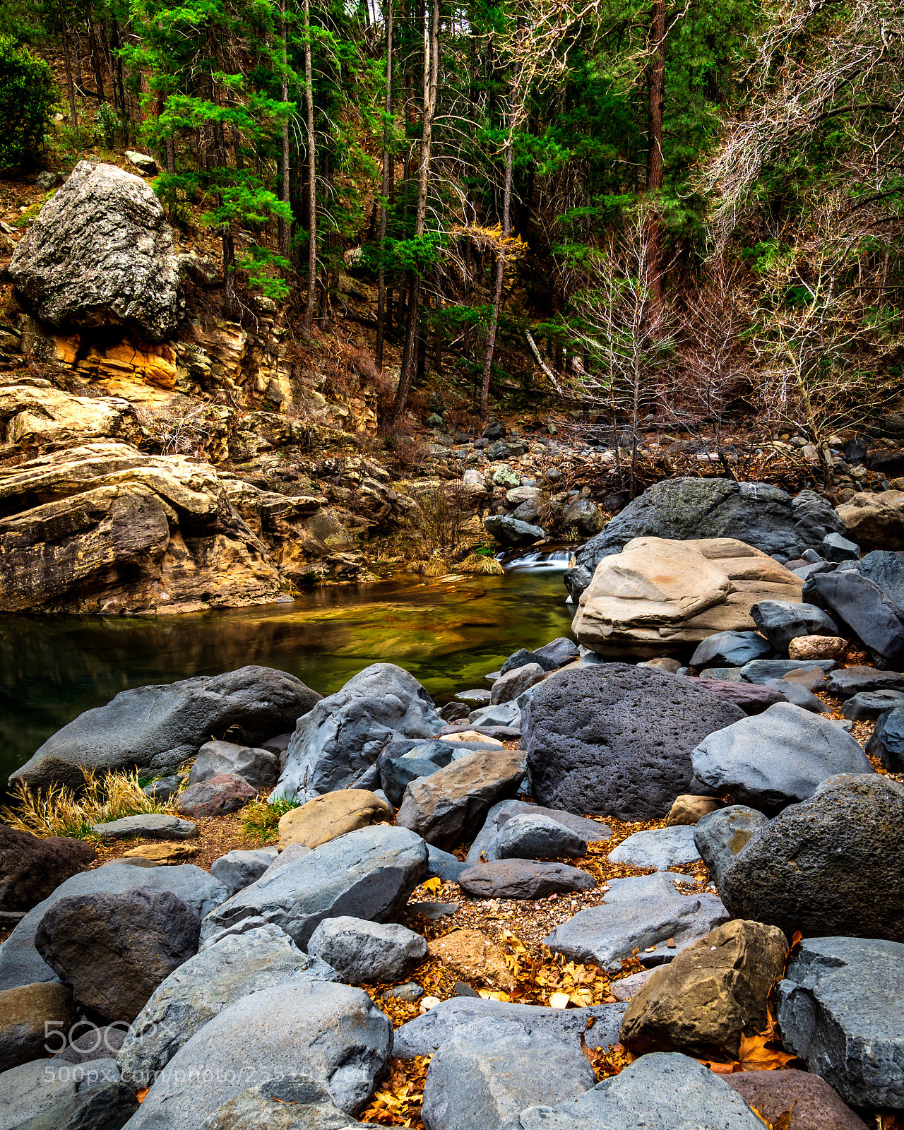 Nikon D7200 sample photo. Reliance photography
