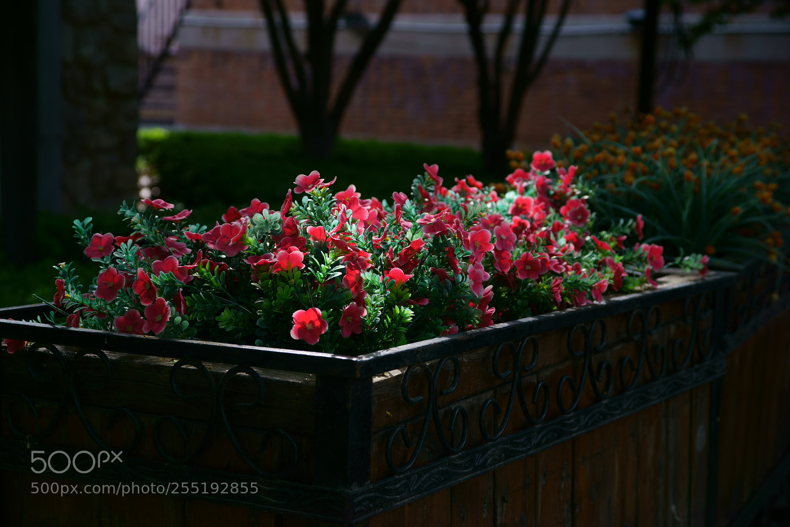 Sony a99 II sample photo. Untitled photography