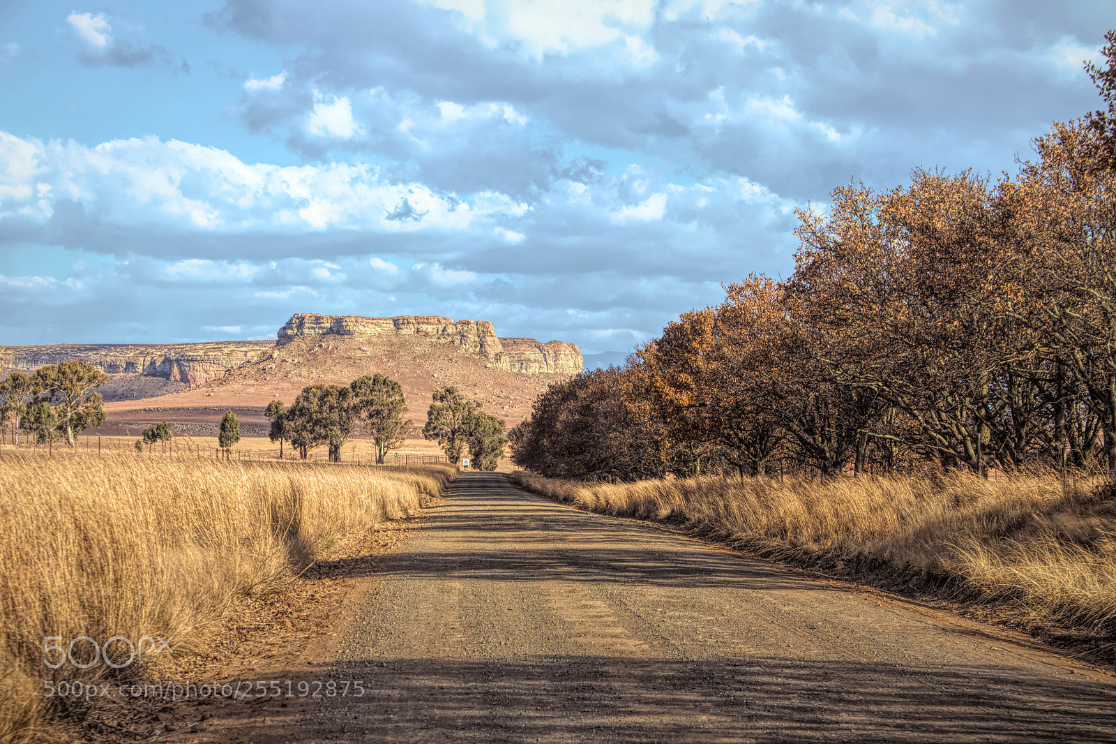 Canon EOS 7D Mark II sample photo. Flat top photography