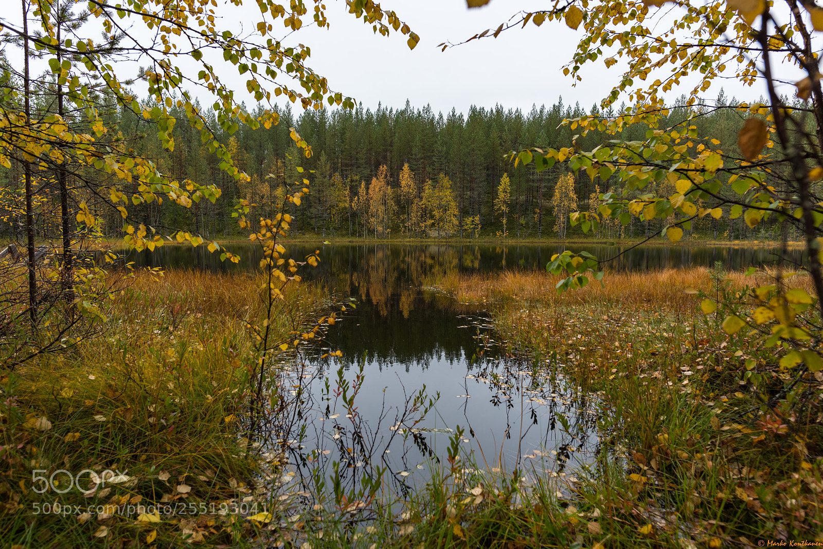 Nikon D810 sample photo. Autumn. photography