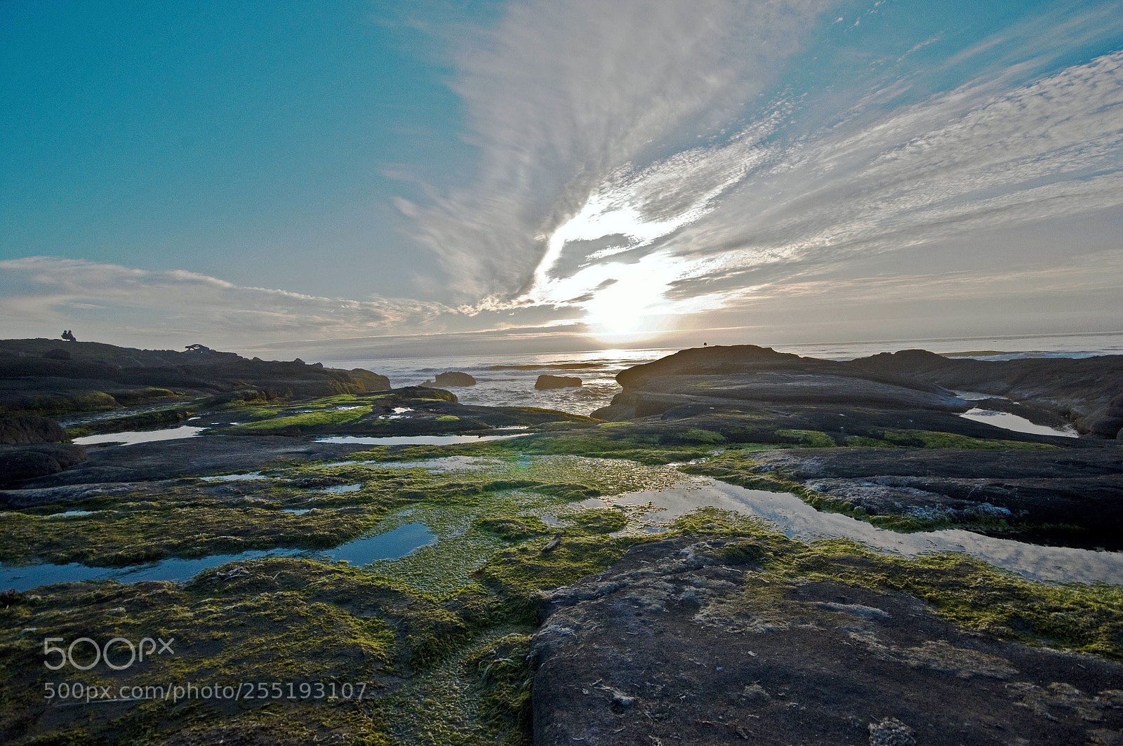 Nikon D300 sample photo. Low tide photography
