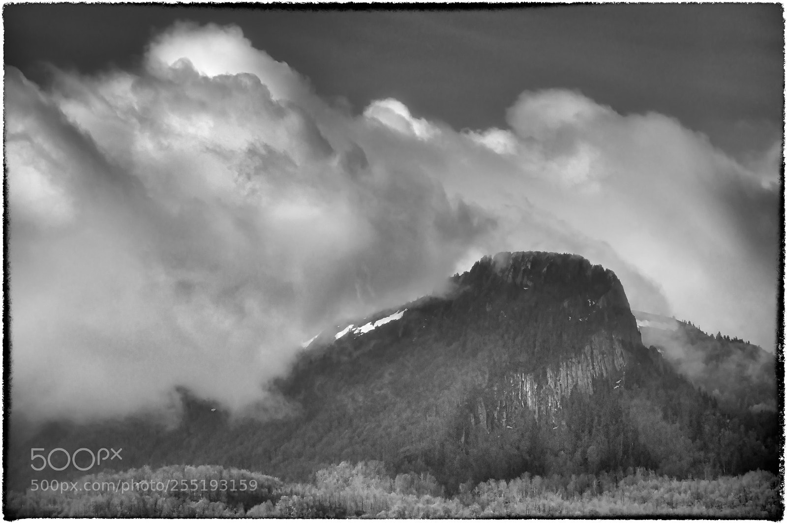 Nikon D850 sample photo. In the clouds photography