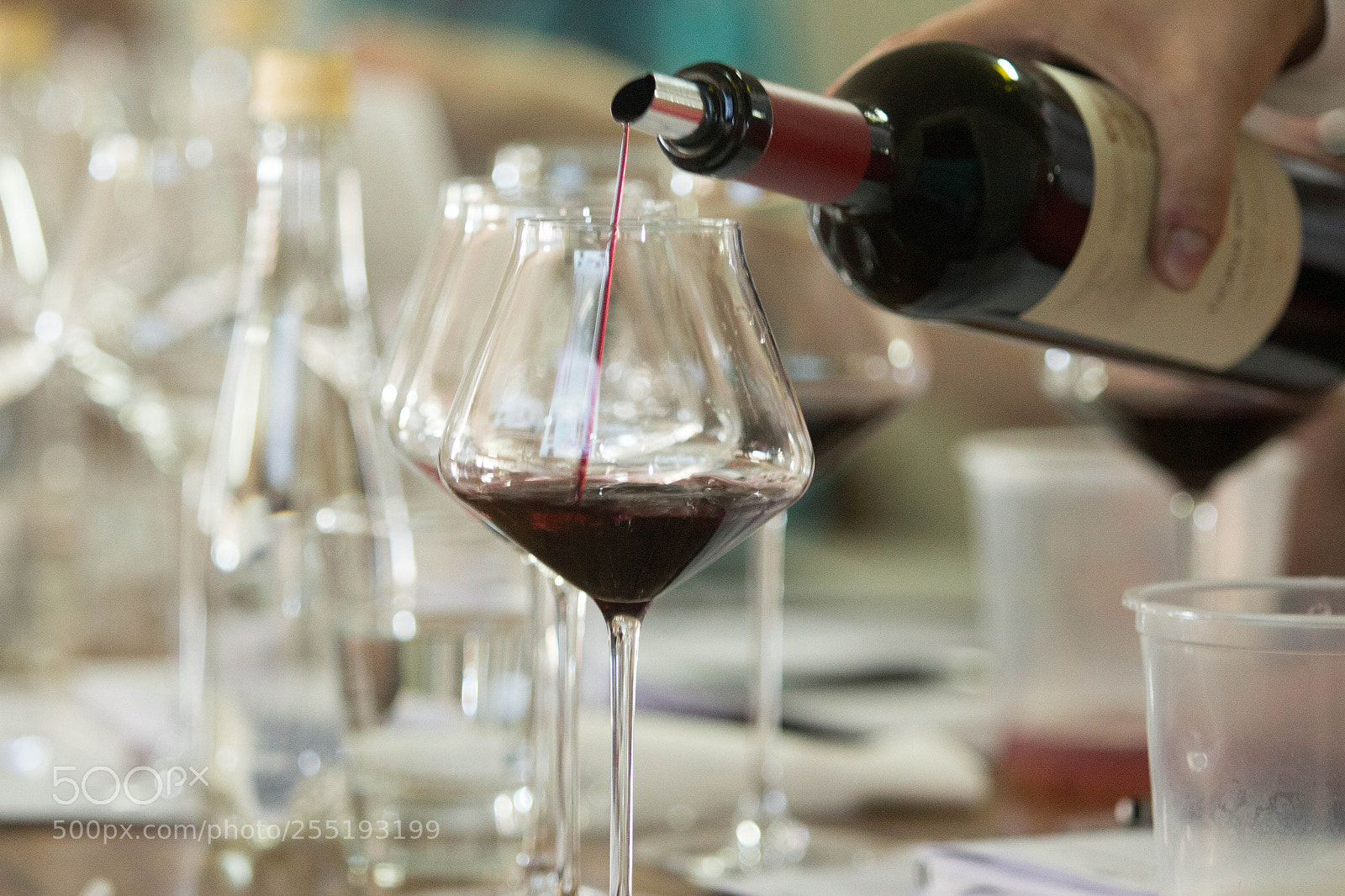 Canon EOS 700D (EOS Rebel T5i / EOS Kiss X7i) sample photo. Tierra malbec photography