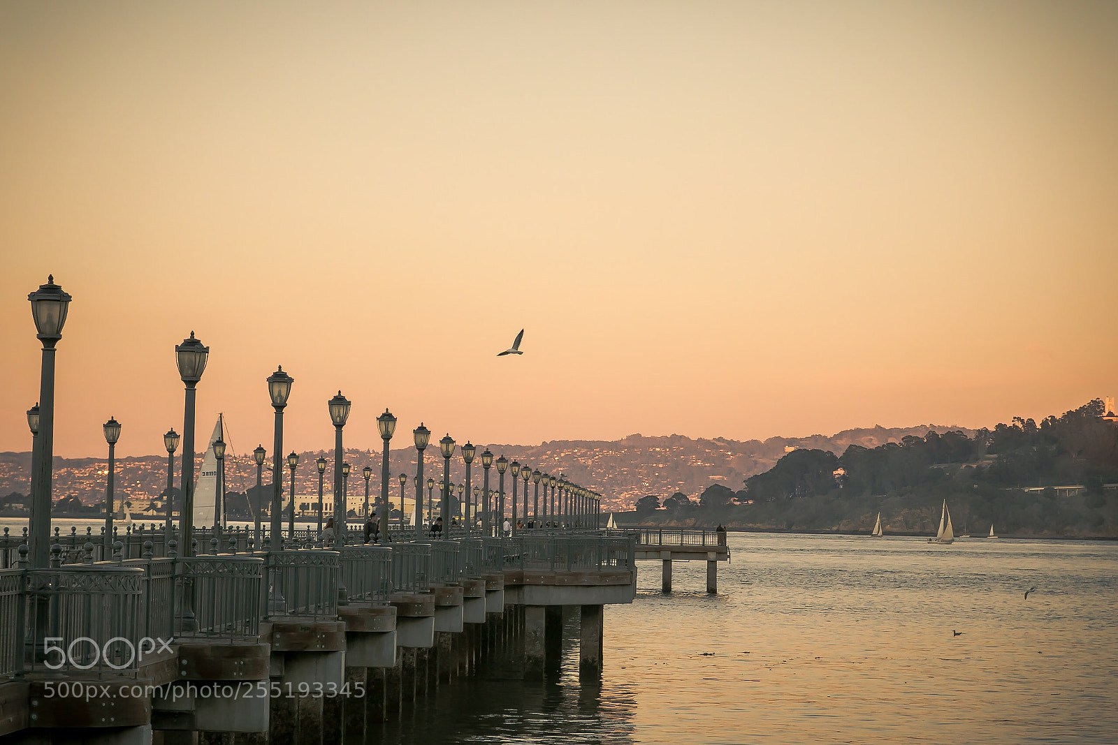 Canon EOS 5D Mark IV sample photo. City tranquility photography