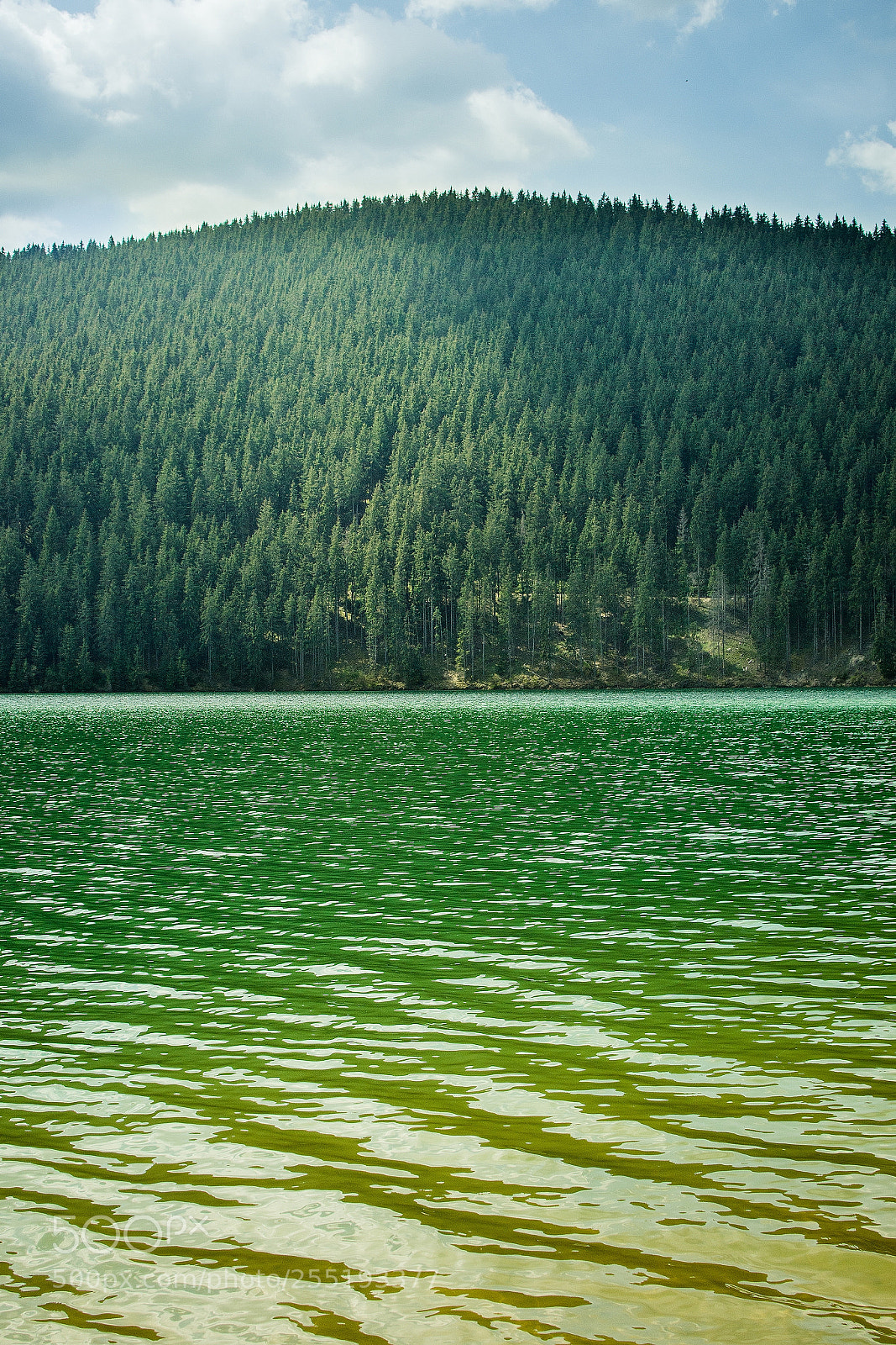 Nikon D7200 sample photo. Beautiful lake near my photography