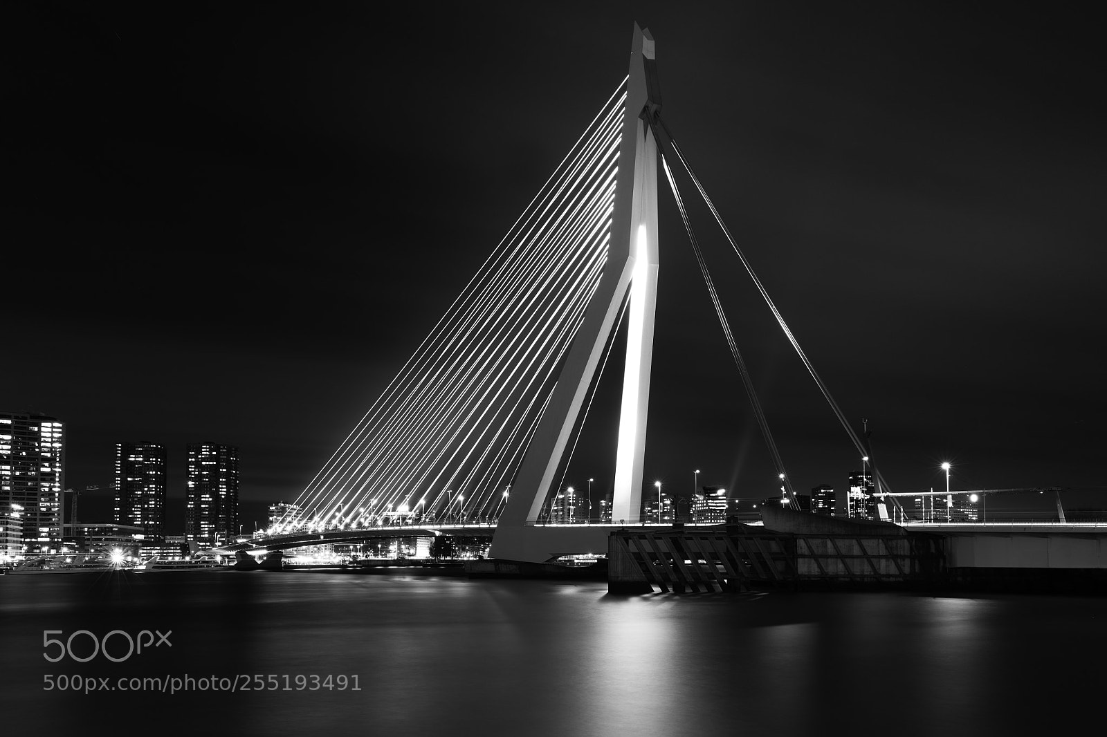 Canon EOS 5DS R sample photo. - erasmusbrug - photography