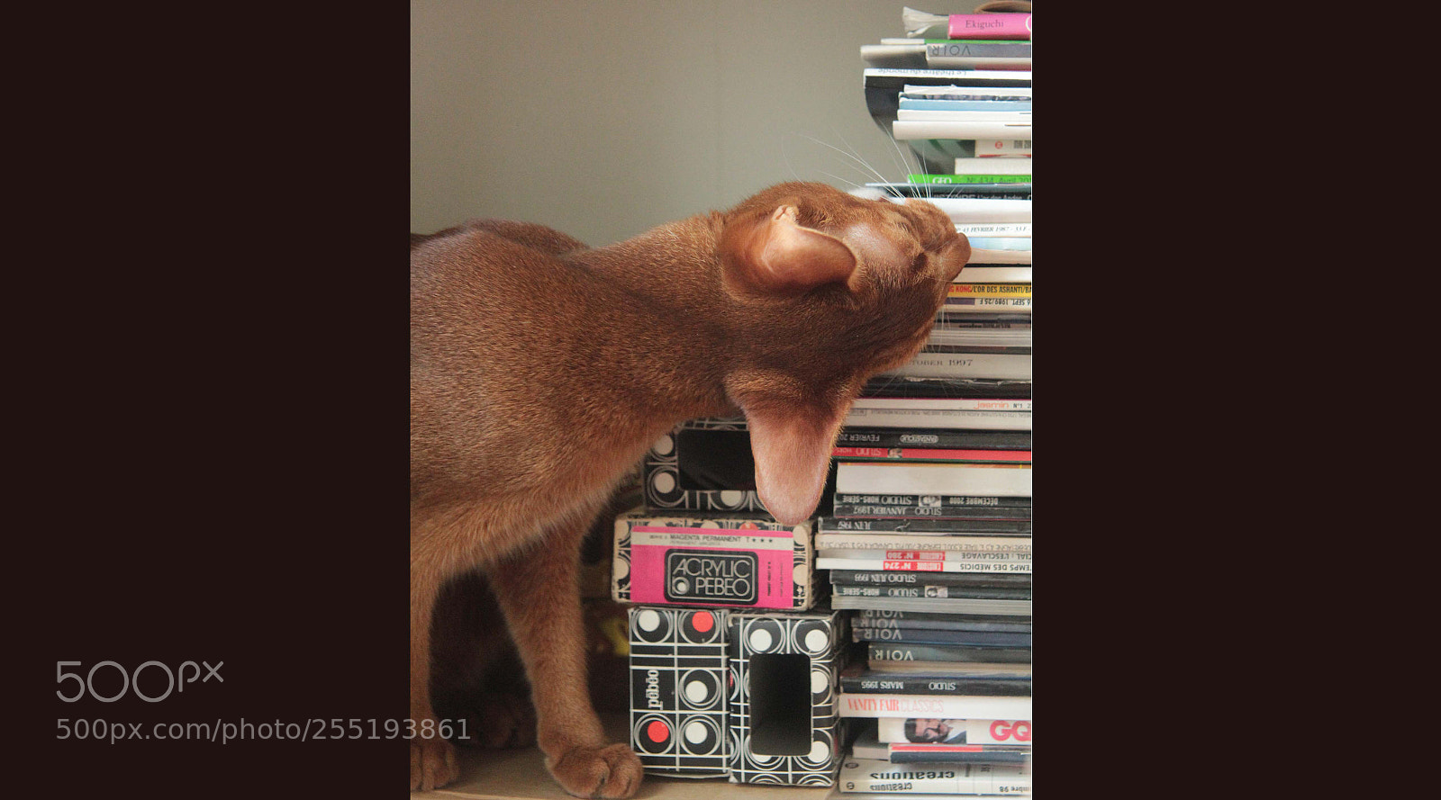 Canon EOS 600D (Rebel EOS T3i / EOS Kiss X5) sample photo. Quoi lire photography
