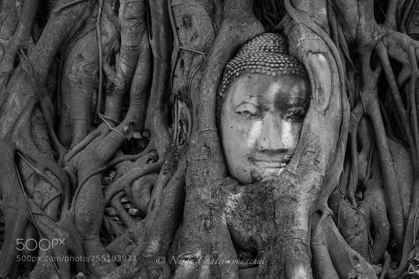 Olympus OM-D E-M5 II sample photo. Wat mahathat photography