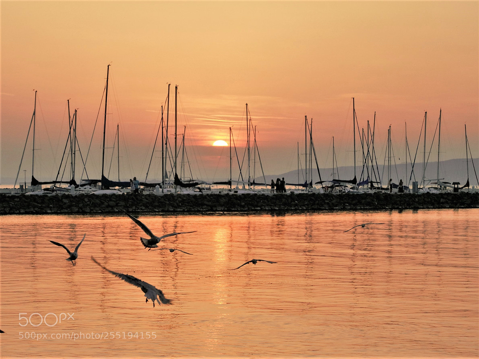 Panasonic Lumix DMC-G6 sample photo. Masts and seagulls in photography
