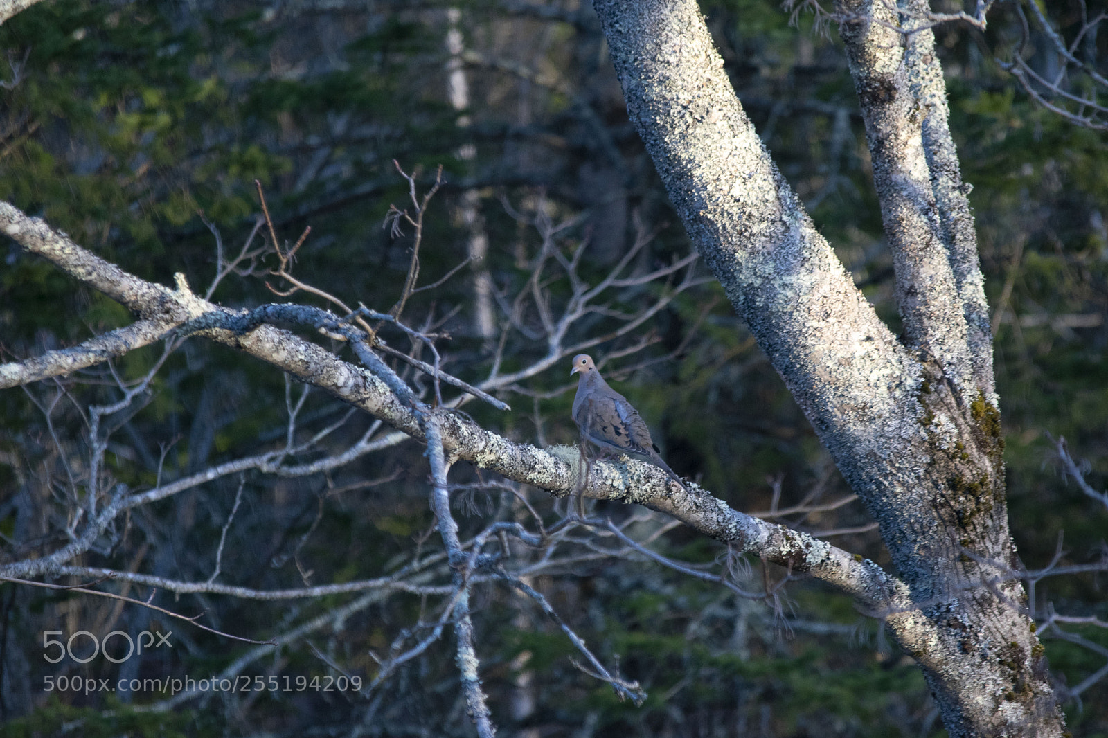 Nikon D3300 sample photo. 1.jpg photography