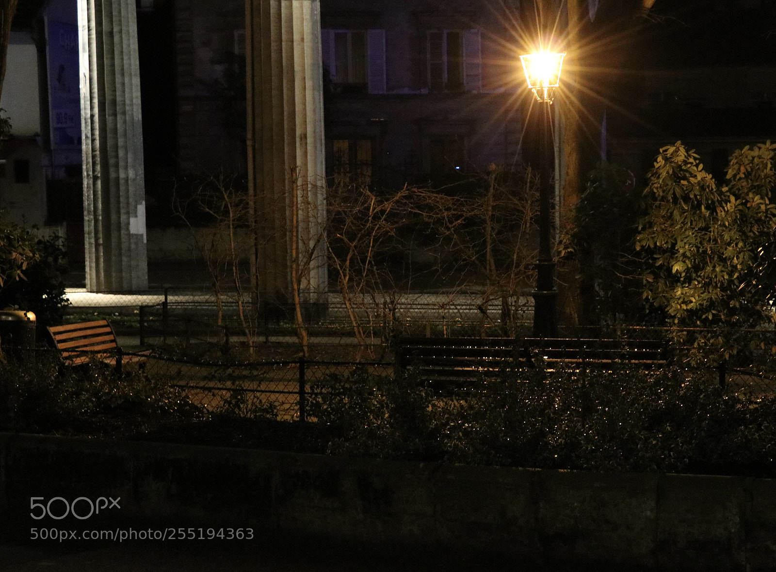 Canon EOS 80D sample photo. Night park photography