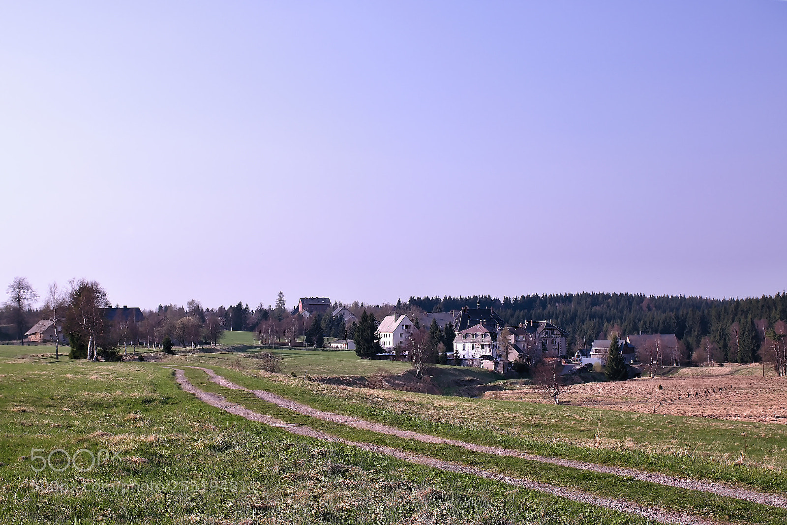 Nikon D5300 sample photo. Path leading to reitzenhain photography