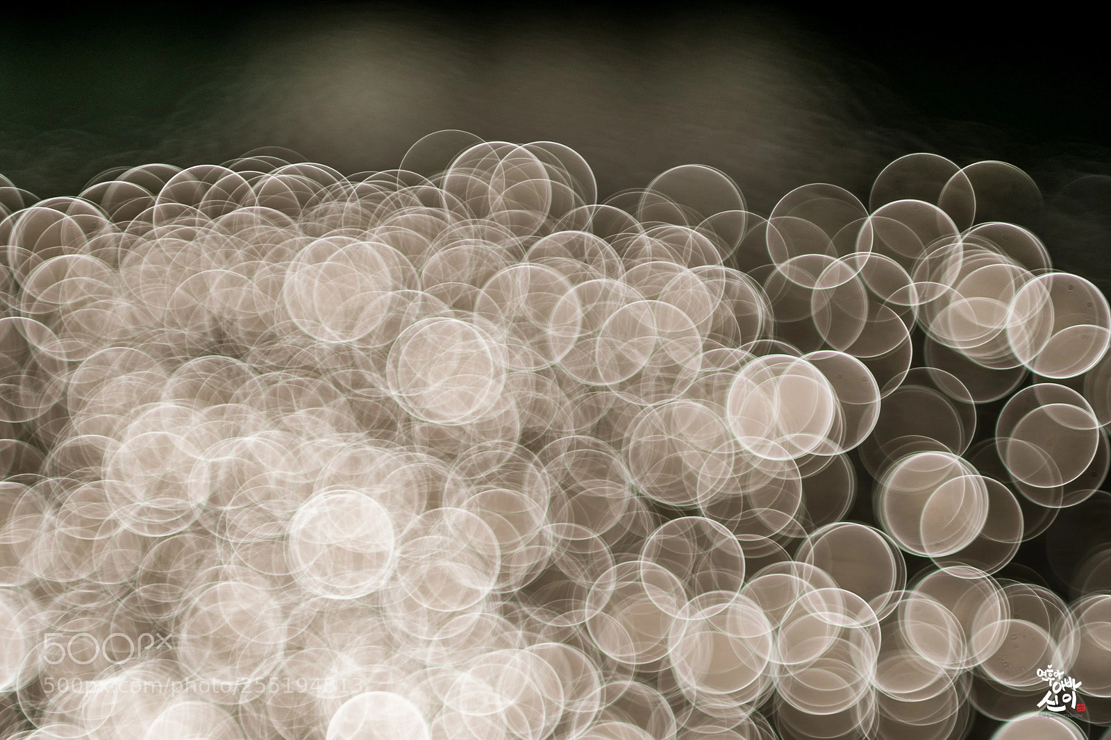 Fujifilm X-T2 sample photo. Bubble bokeh photography