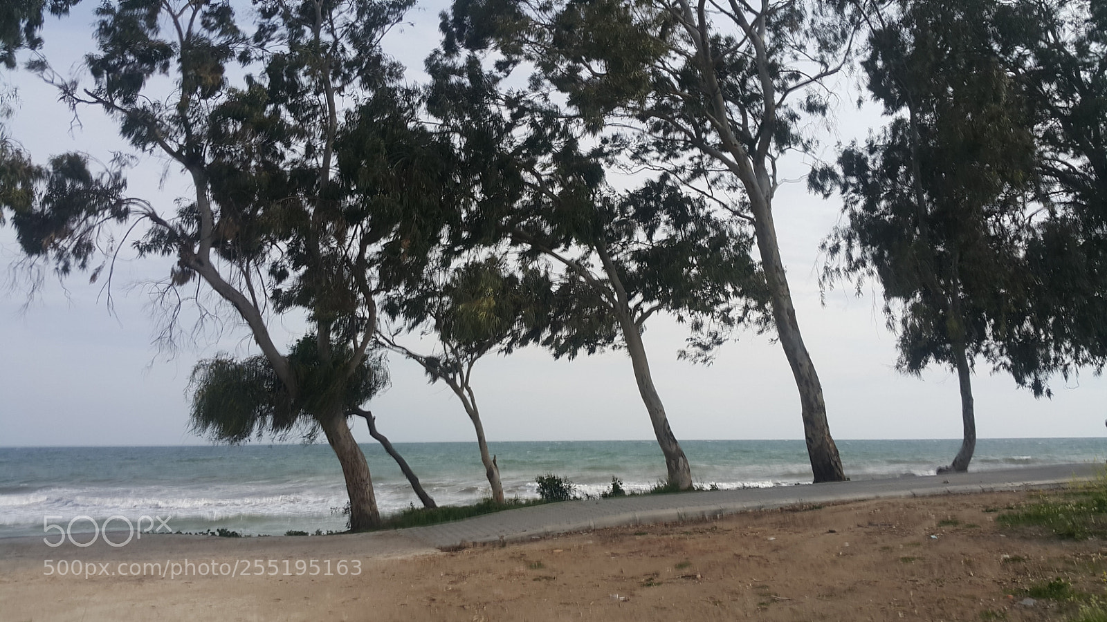 Samsung Galaxy Note4 sample photo. Untitled photography