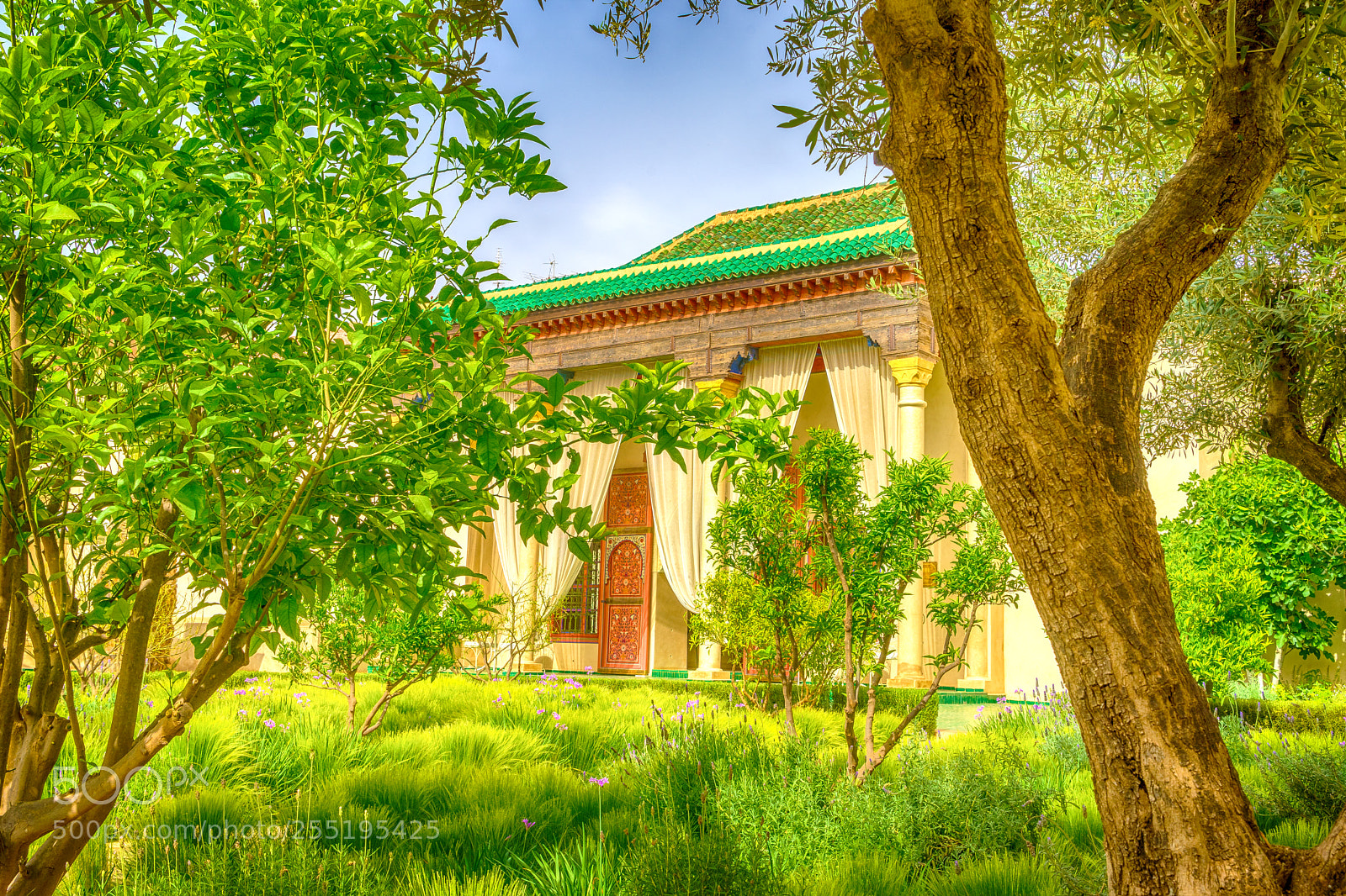 Sony a7 sample photo. Oasis in the middle photography