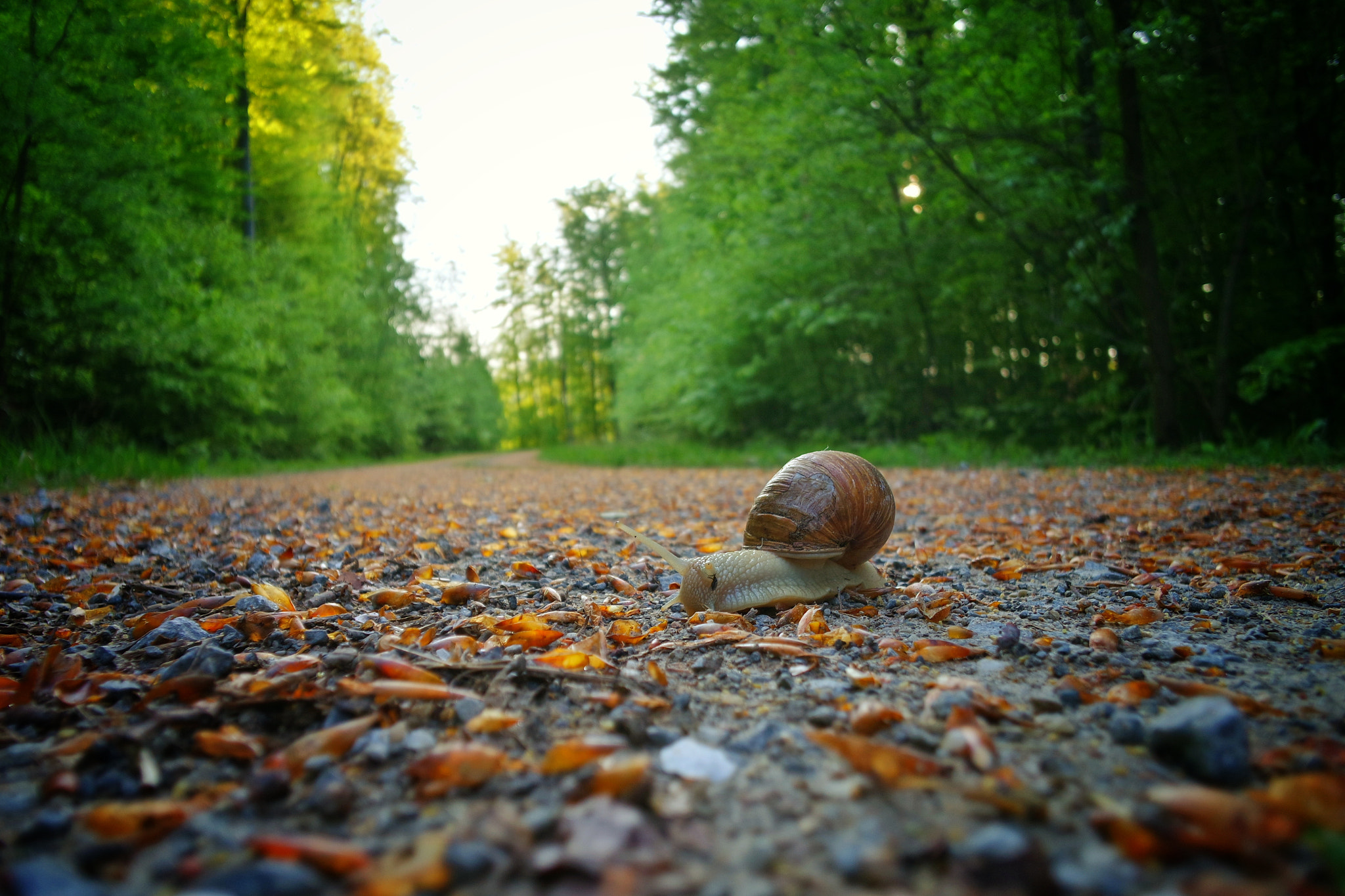 Samsung NX mini sample photo. Backpacker photography