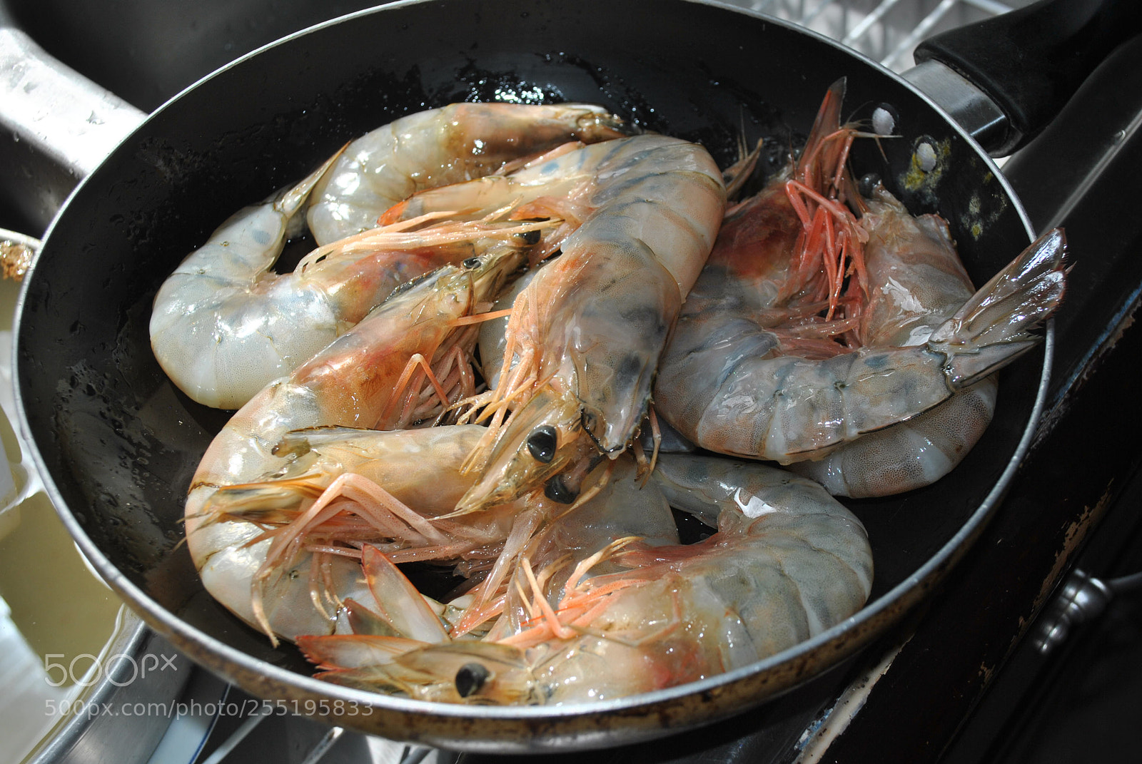 Nikon D3000 sample photo. Untitled photography