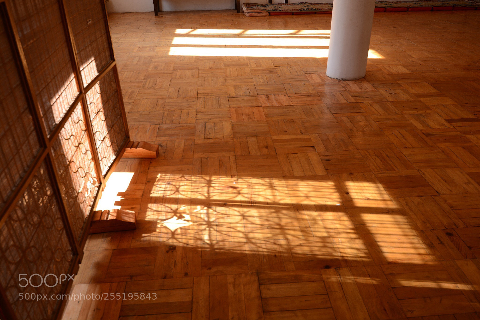 Nikon D7100 sample photo. Shine photography
