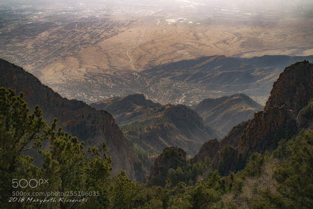 Nikon D850 sample photo. Looking down from sandia photography