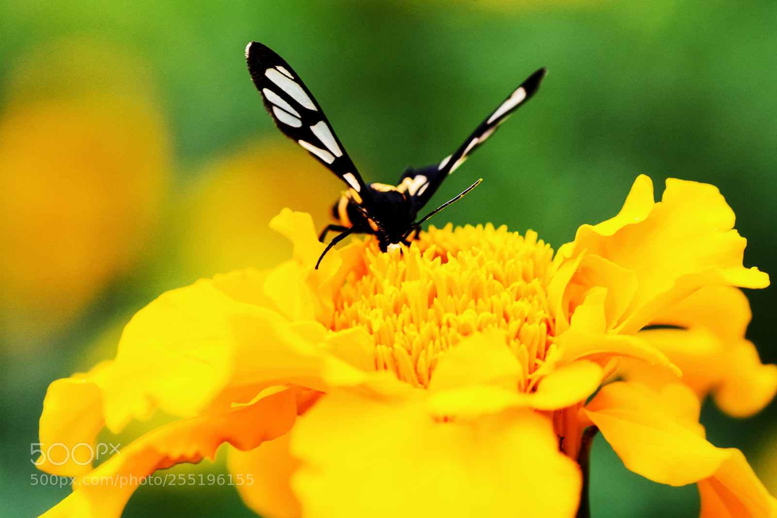 Nikon D7100 sample photo. Untitled photography