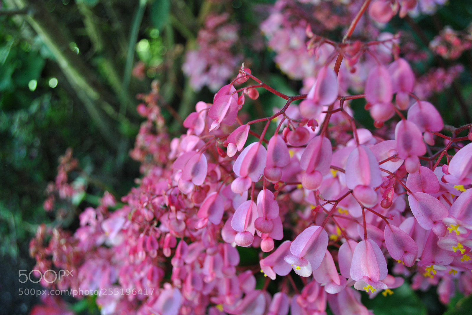 Nikon D3000 sample photo. #colorful #nice #nikon photography