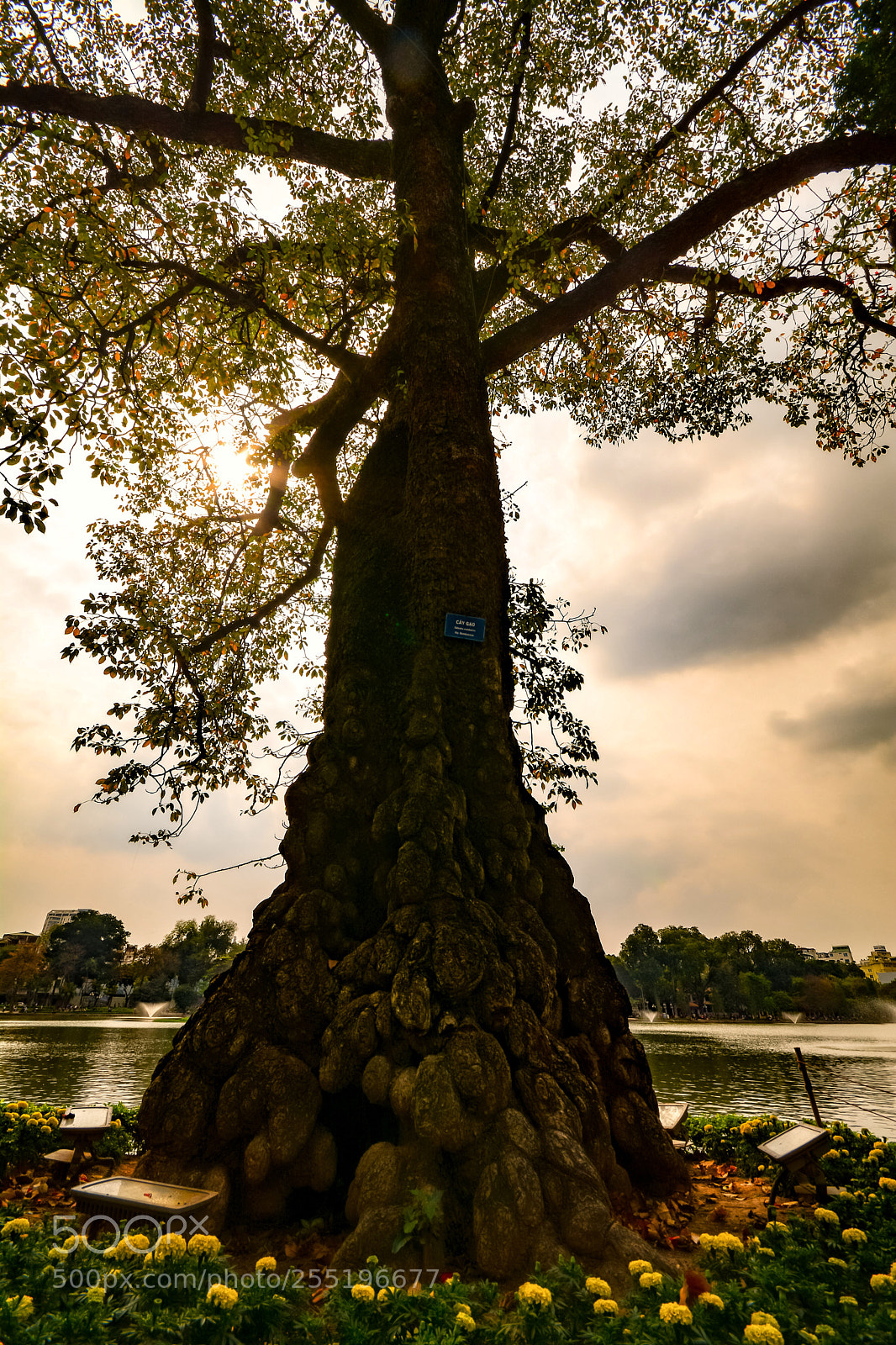Nikon D7100 sample photo. Untitled photography