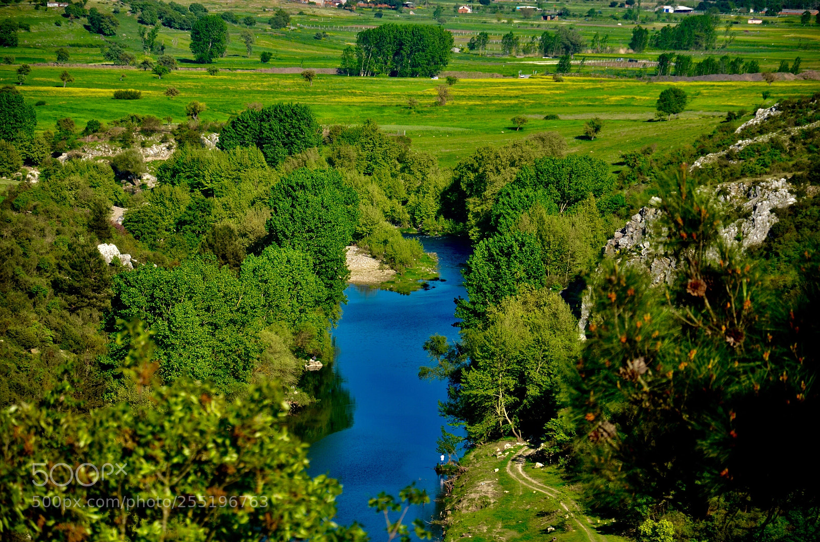 Nikon D5100 sample photo. Kocaavşar mesire alanı. photography